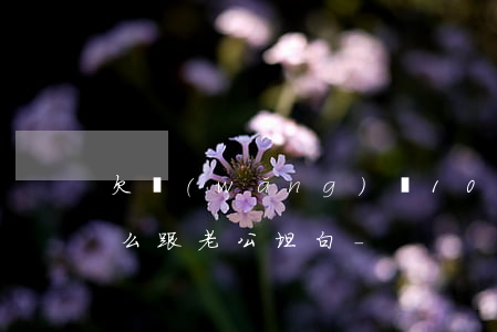 欠網(wǎng)貸100萬(wàn)怎么跟老公坦白-