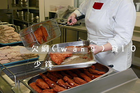 欠網(wǎng)貸100萬一個月能賺多少錢