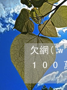 欠網(wǎng)貸100萬如何上岸(欠了100萬如何上岸)