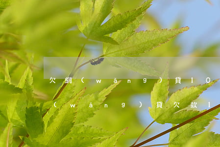 欠網(wǎng)貸10多萬不還款妙招(網(wǎng)貸欠款10萬怎么辦)