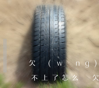 欠網(wǎng)貸10幾萬(wàn)還不上了怎么辦(欠網(wǎng)貸10幾萬(wàn)我要怎么辦)