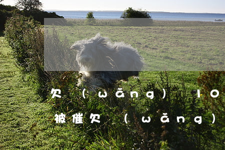 欠網(wǎng)貸10萬(wàn)一直被催(欠網(wǎng)貸十多萬(wàn))