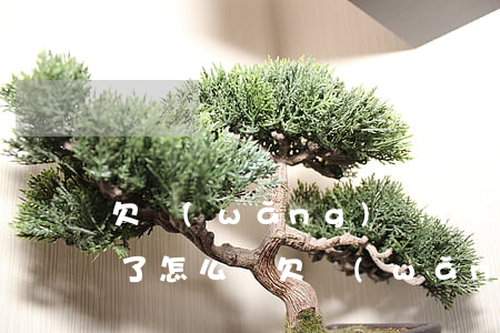 欠網(wǎng)貸10萬(wàn)人死了怎么辦(欠網(wǎng)貸50萬(wàn)死了算了)