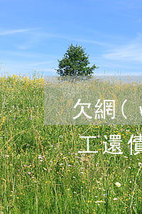 欠網(wǎng)貸10萬(wàn)想打工還債(欠網(wǎng)貸十多萬(wàn))