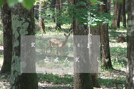 欠網(wǎng)貸10萬(wàn)父母雙亡(家人欠網(wǎng)貸四十多萬(wàn)怎么辦)