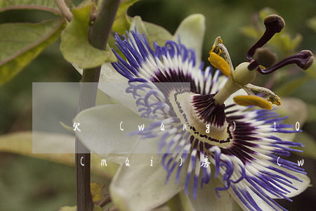 欠網(wǎng)貸10萬(wàn)能買(mǎi)房嗎(網(wǎng)貸十萬(wàn)能貸款買(mǎi)房嗎)