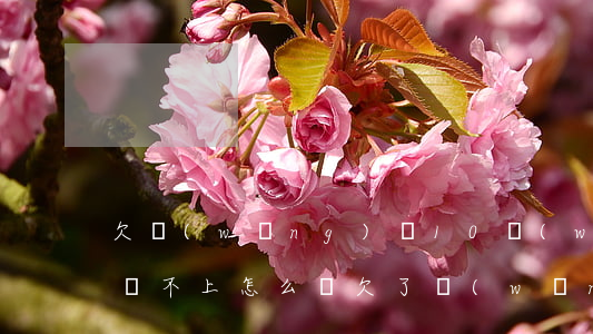 欠網(wǎng)貸10萬(wàn)逾期還不上怎么辦(欠了網(wǎng)貸10萬(wàn)多沒(méi)能力還了怎么辦)