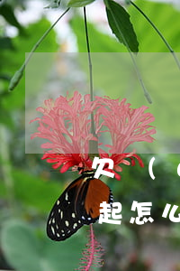 欠網(wǎng)貸10萬(wàn)還不起怎么辦(網(wǎng)貸10萬(wàn)還不上怎么辦)