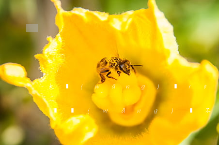 欠網(wǎng)貸10萬元坐牢幾年(欠十萬網(wǎng)貸不還能判多少年)