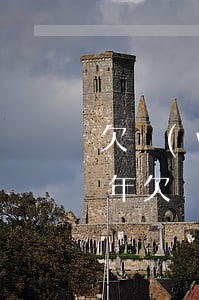 欠網(wǎng)貸10萬元還不上坐牢幾年(欠網(wǎng)貸30多萬實(shí)在還不起了,不還會(huì)怎樣,要坐牢嗎?)