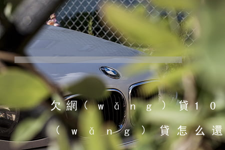 欠網(wǎng)貸10萬兩年(欠10萬網(wǎng)貸怎么還)