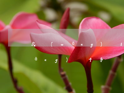 欠網(wǎng)貸10萬判幾年(欠網(wǎng)貸十多萬會(huì)被起訴嗎)
