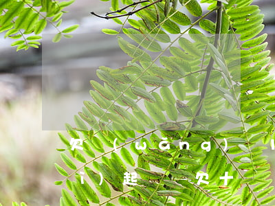 欠網(wǎng)貸10萬半年了會(huì)起訴嗎(欠十萬網(wǎng)貸不還能判多少年)