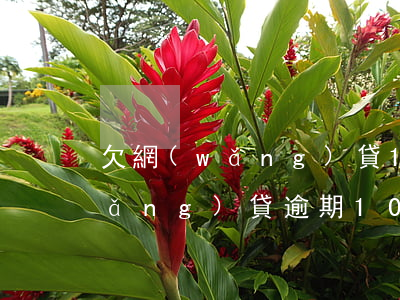 欠網(wǎng)貸10萬逾期3年(網(wǎng)貸逾期10天)