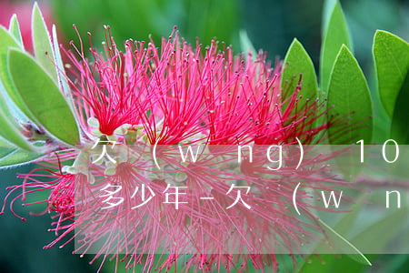 欠網(wǎng)貸10萬逾期還不上會判多少年-欠網(wǎng)貸10萬逾期還不上會判多少年呢