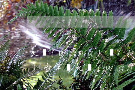 欠網(wǎng)貸12000會(huì)坐牢嗎(欠網(wǎng)貸12000會(huì)坐牢嗎)