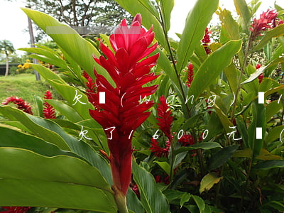 欠網(wǎng)貸12000會被起訴嗎(欠了1600元網(wǎng)貸會被起訴嗎)