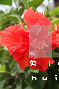 欠網(wǎng)貸12萬(wàn)會(huì)怎么樣(欠了十二萬(wàn)網(wǎng)貸怎么辦)