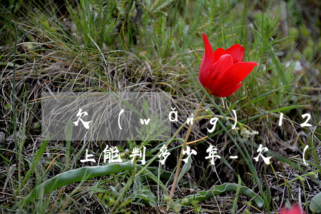 欠網(wǎng)貸12萬(wàn)還不上能判多少年-欠網(wǎng)貸12萬(wàn)還不上能判多少年呢