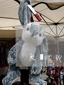欠網(wǎng)貸12萬如何自救(欠網(wǎng)貸12萬如何自救)