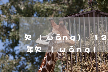 欠網(wǎng)貸12萬還不上能判多少年(欠網(wǎng)貸10萬要坐幾年牢)