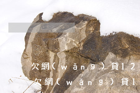 欠網(wǎng)貸12萬還不起了怎么辦(欠網(wǎng)貸11萬還不起怎么辦)