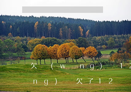 欠網(wǎng)貸12萬還不起(網(wǎng)貸欠了12萬)