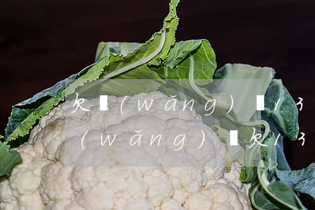 欠網(wǎng)貸1300會被起訴嗎(網(wǎng)貸欠1300能起訴嗎)