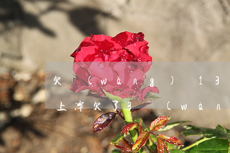 欠網(wǎng)貸13萬(wàn)怎么上岸(欠了3萬(wàn)網(wǎng)貸如何上岸)