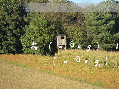 欠網(wǎng)貸13萬(wàn)怎么還(網(wǎng)貸欠了13萬(wàn)怎么上岸)