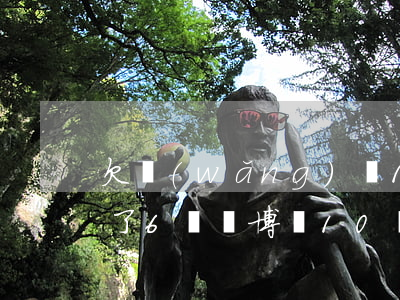 欠網(wǎng)貸13萬復(fù)賭輸了6萬(賭博輸10幾萬網(wǎng)貸欠4萬)