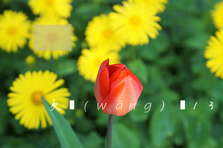 欠網(wǎng)貸13萬賣龍鳳胎完整版
