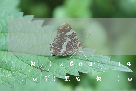 欠網(wǎng)貸14000不還會(huì)怎么樣(欠網(wǎng)貸9000沒(méi)還,有影響嗎)