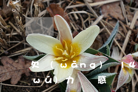 欠網(wǎng)貸14萬(wàn)無(wú)力償還感覺這輩子完蛋了-欠網(wǎng)貸14萬(wàn)無(wú)力償還怎么辦 怎么和家里開口