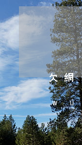 欠網(wǎng)貸14萬(wàn)無(wú)力償還(欠網(wǎng)貸14萬(wàn)無(wú)力償還判刑嗎)