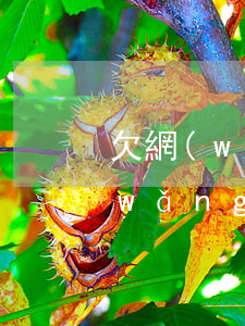 欠網(wǎng)貸1500怎么樣(欠網(wǎng)貸10000)