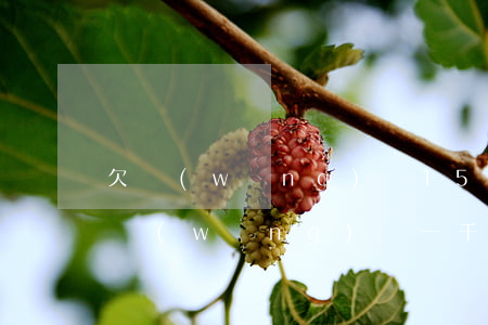 欠網(wǎng)貸1500法院受理嗎(欠網(wǎng)貸一千多塊錢法院受理嗎)