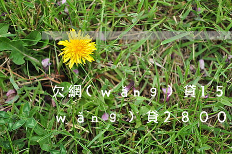 欠網(wǎng)貸1500被起訴(欠網(wǎng)貸2800元會被法院起訴嗎)