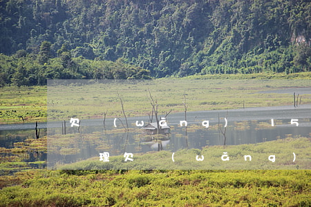 欠網(wǎng)貸15萬(wàn)怎么處理(欠網(wǎng)貸十幾萬(wàn)該怎么辦)