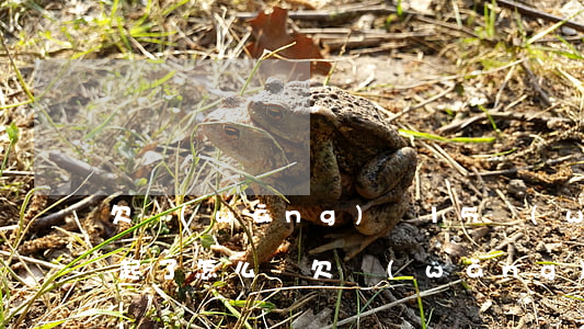 欠網(wǎng)貸15萬(wàn)還不起了怎么辦(欠網(wǎng)貸五萬(wàn)多還不起怎么辦)