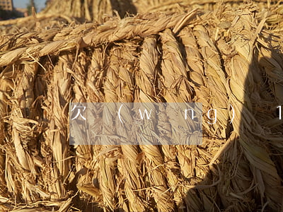 欠網(wǎng)貸15萬不敢相互坦白