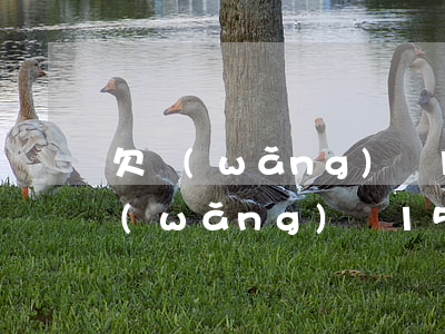 欠網(wǎng)貸15萬不還會怎樣(欠網(wǎng)貸15萬怎么上岸)