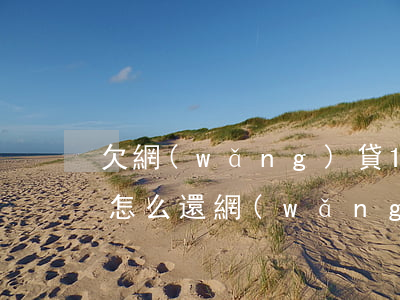 欠網(wǎng)貸15萬失業(yè)了怎么還(網(wǎng)貸欠了15萬我該怎么辦)