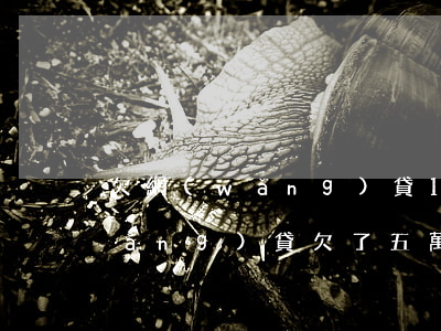 欠網(wǎng)貸15萬怎么上岸(網(wǎng)貸欠了五萬多怎么強制上岸)