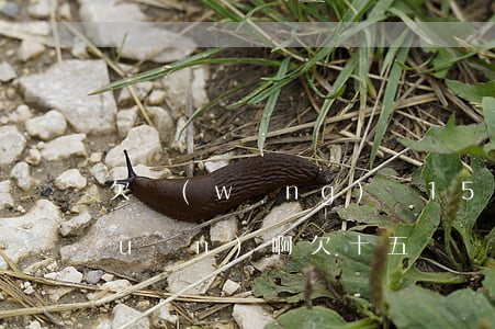 欠網(wǎng)貸15萬怎么周轉(zhuǎn)啊(欠十五萬網(wǎng)貸如何努力還款)