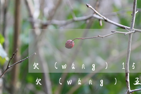 欠網(wǎng)貸15萬無人幫忙已逾期(欠網(wǎng)貸五十萬)