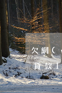 欠網(wǎng)貸15萬無力還怎么辦(欠貸款15萬無力還怎么辦)