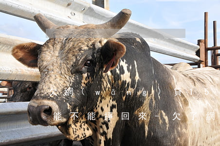 欠網(wǎng)貸15萬靠美發(fā)能不能掙回來-欠了網(wǎng)貸15萬怎么辦