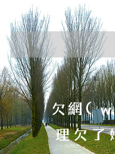 欠網(wǎng)貸16萬無力償還怎么處理(欠了好多網(wǎng)貸無力償還怎么辦)