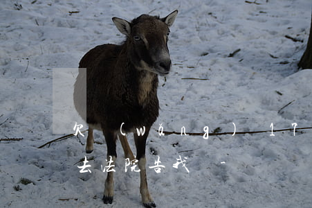 欠網(wǎng)貸1700會(huì)去法院告我嗎-